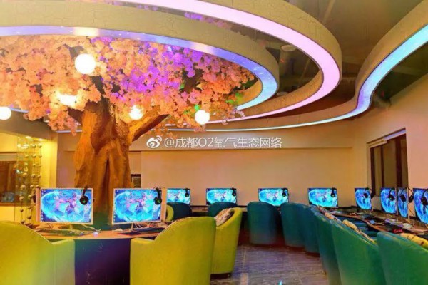 成都悠闲时光，一茶一影养生记(一茶一瓷成都店)